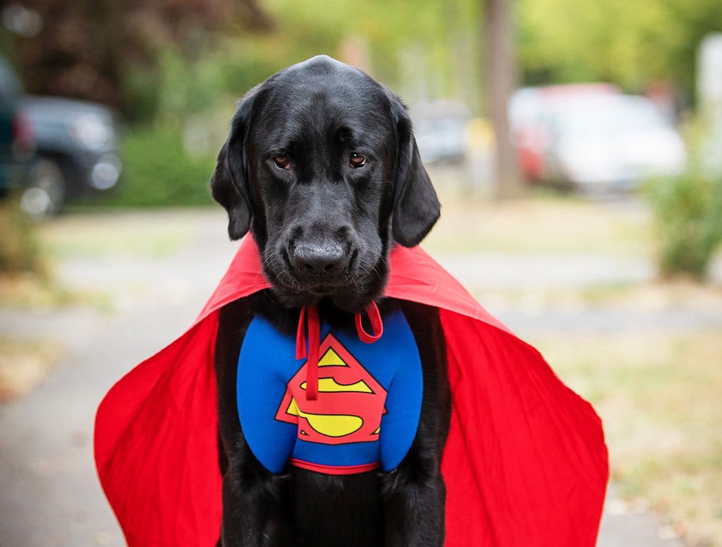 Boma wearing a red superhero cape