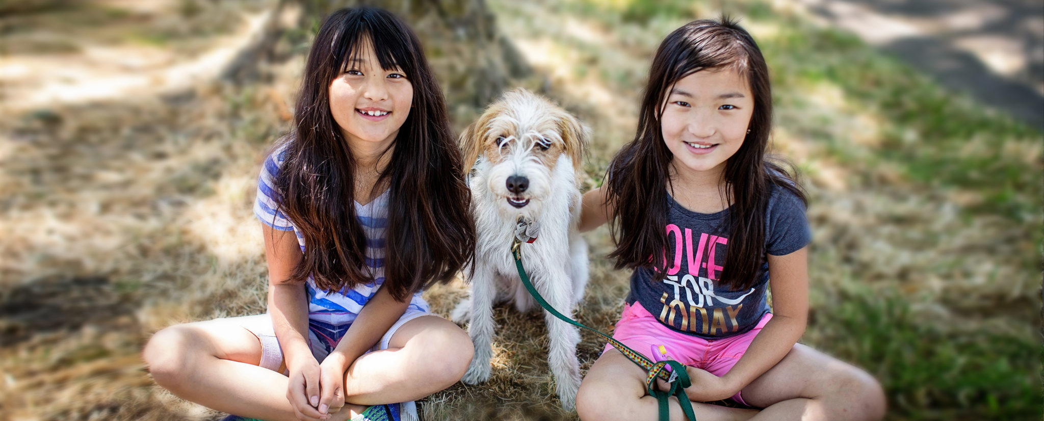 Children spending time with a dog