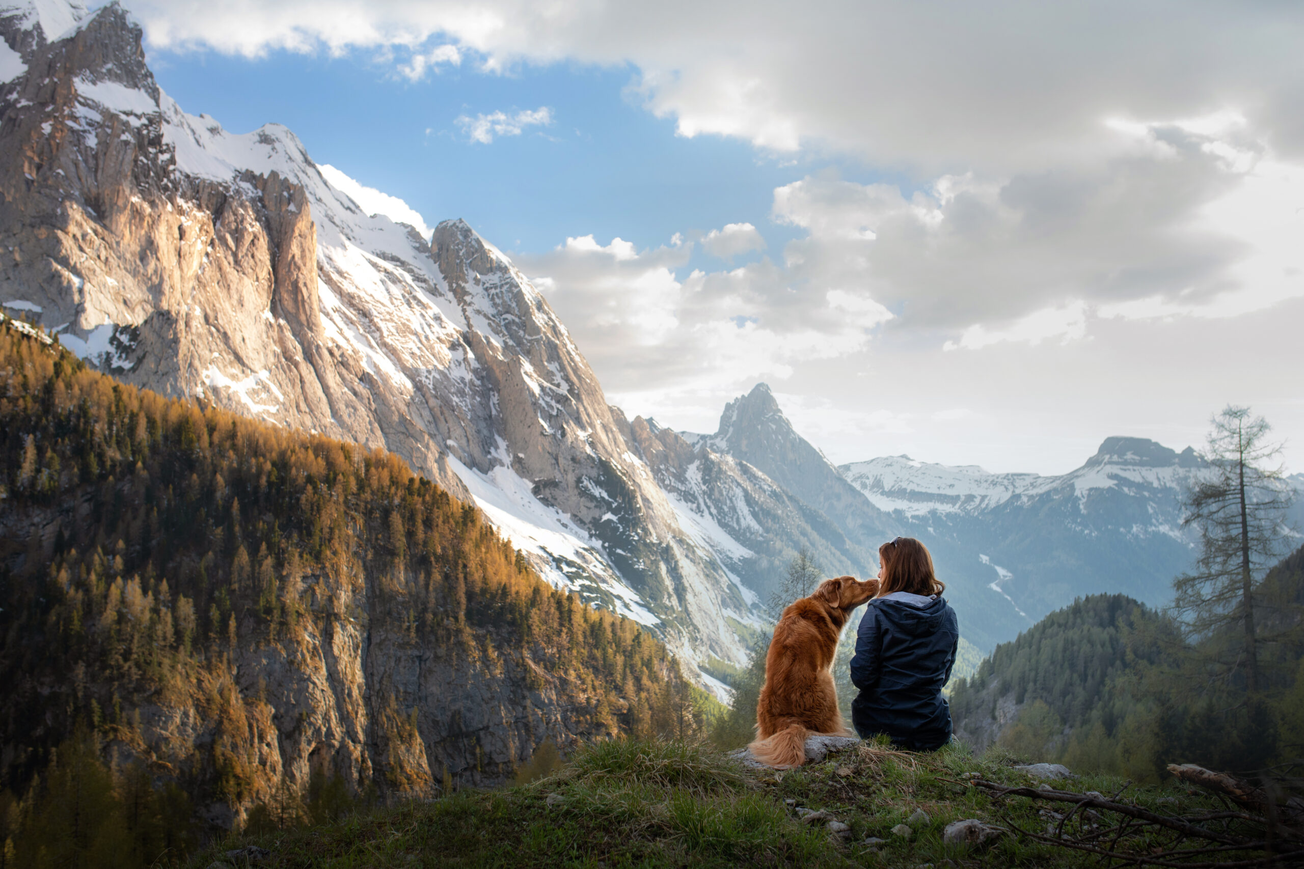 Dog on a trail